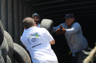 A través del programa se recolectaron un total de 238.5 toneladas de llantas de desecho entre México, Costa Rica y Colombia.